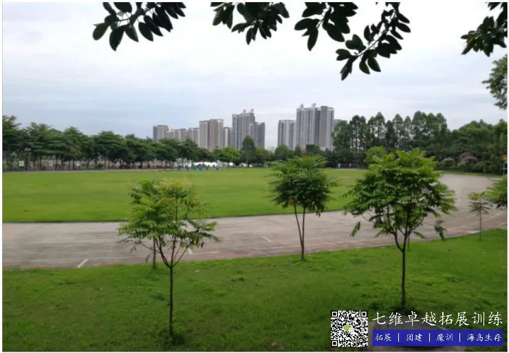 如何在比赛中发现和发展球员潜力_2
